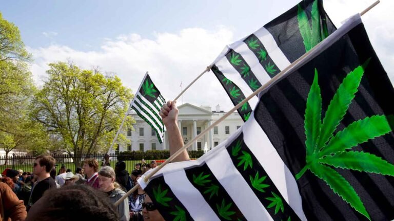 New York Times admits marijuana legalization has caused serious problems