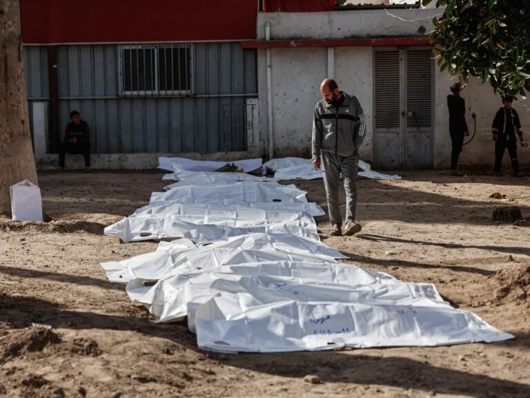 Gaza death toll exceeds 75,000 as independent data verify loss | Israel-Palestine conflict