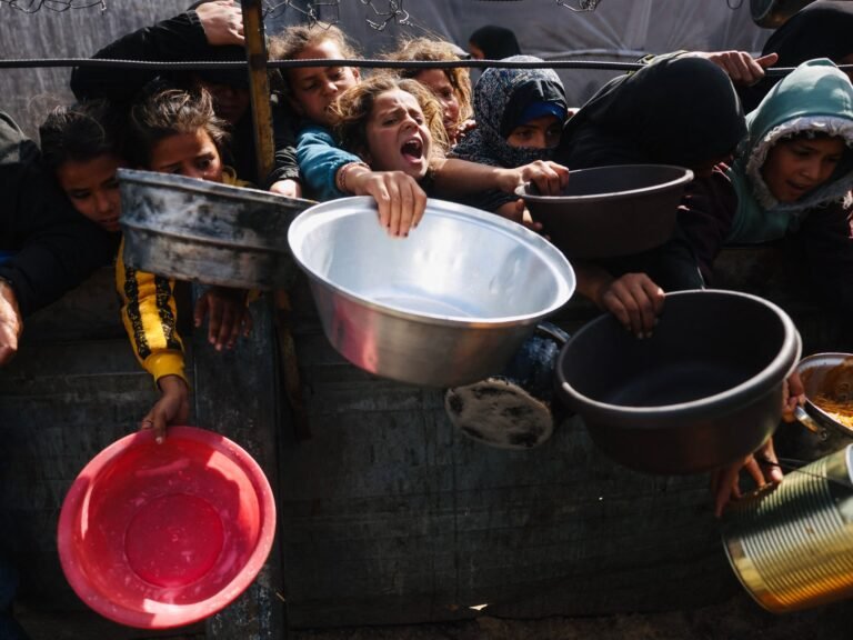 Hamas: Trump’s ‘Board of Peace’ must stop Israel’s killing in Gaza | Israel-Palestine conflict News