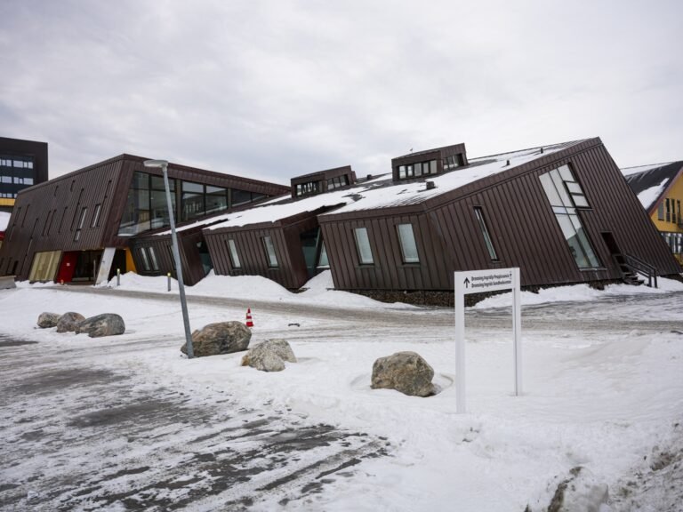 Greenland rejects Trump’s offer to send US hospital ship to Arctic island | Donald Trump News