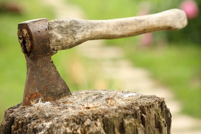 Users slam Microsoft over Polyglot Notebooks deprecation • The Register