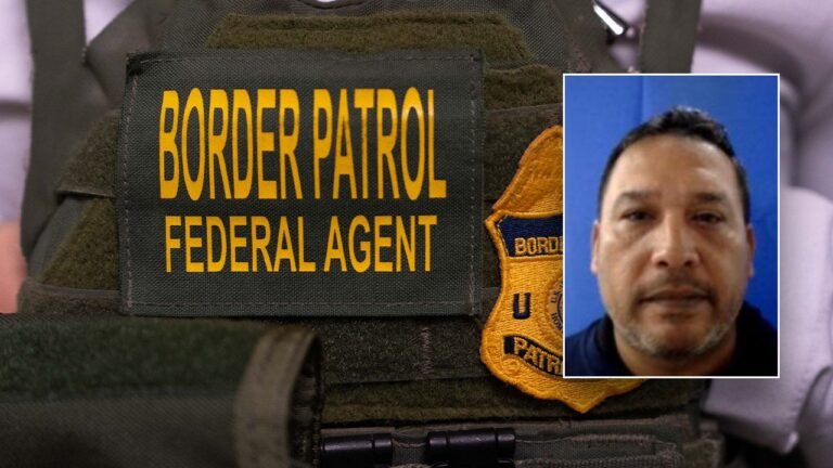 Illegal Immigrant arrested after showing up to Border Patrol office for IT work
