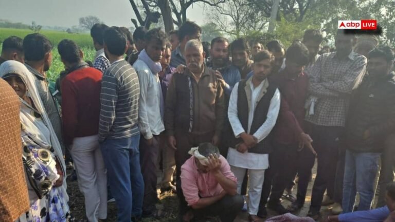 Two youths fell on high tension line in Firozabad, died on the spot, uproar among villagers