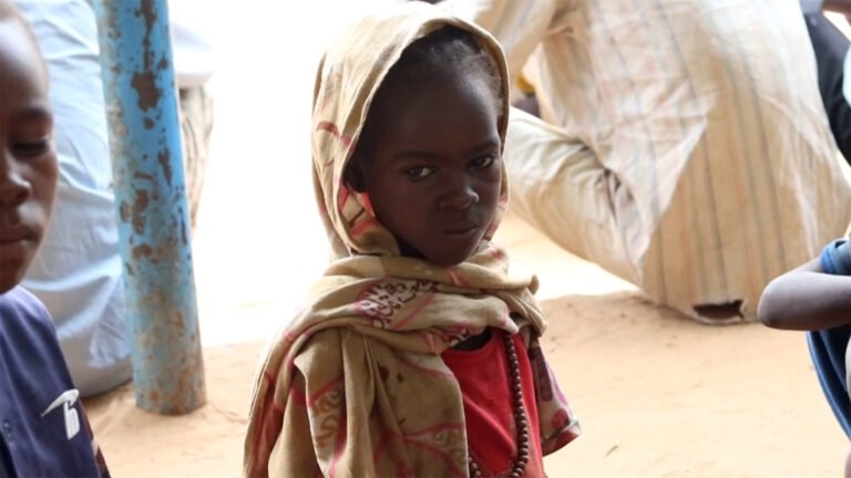 Famine conditions spread to more towns in Sudan’s Darfur, experts warn | Sudan war News