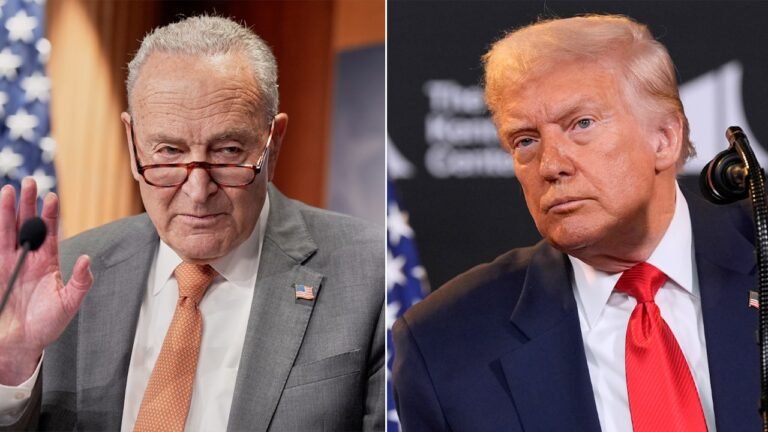 FEMA disaster funding at risk as Democrats’ DHS shutdown stretches into fifth day