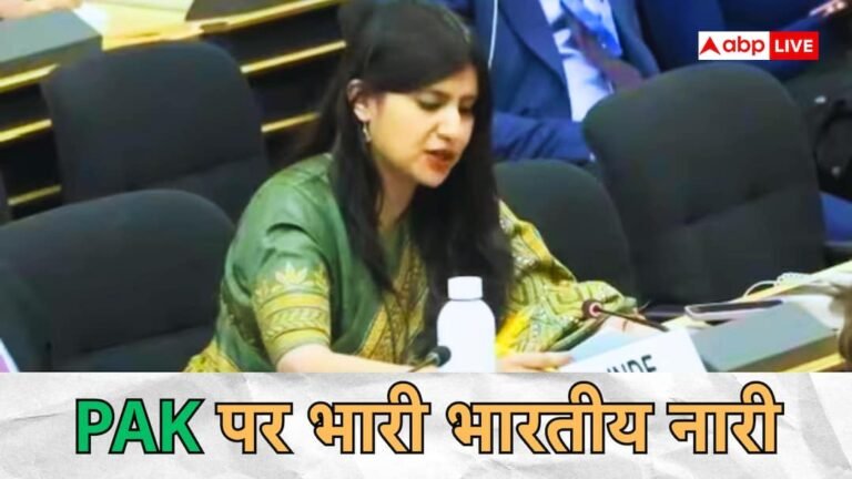 ‘Kashmir’s budget is more than IMF’s bailout…’, Indian diplomat in UN ridiculed PAK-OIC