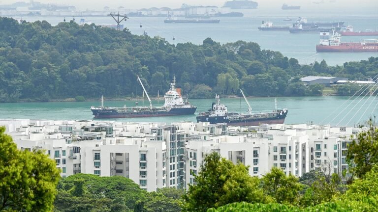 Cruise ship fire kills 1 crew member, 4 people are hospitalized in Singapore waters