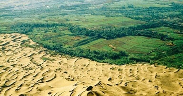Not a single straw used to grow in the barren desert, today 66 billion trees have grown, China has again surprised nature!