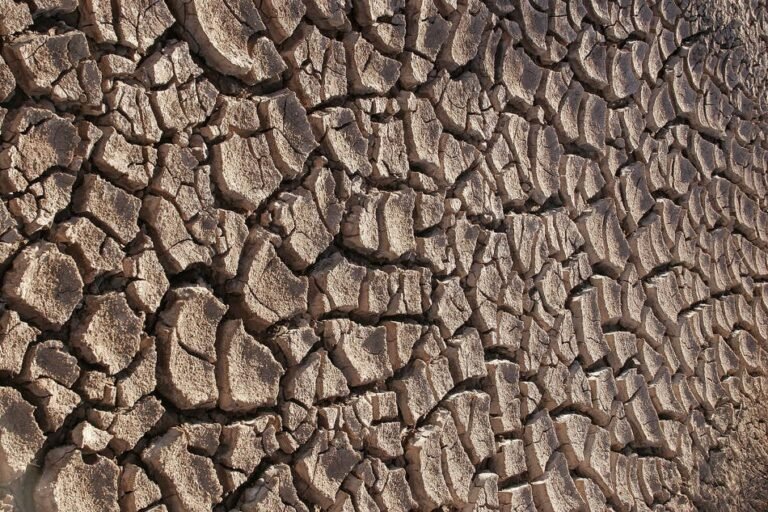 Memory and CPU shortages to push up PC prices • The Register