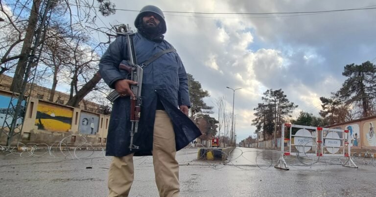 Pakistan army says it killed 216 fighters in weeklong Balochistan campaign | Military News