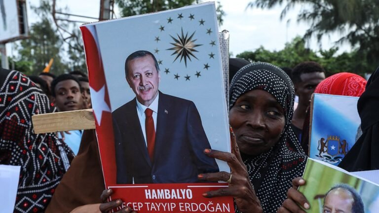 Turkey’s Africa strategy conflicts with US foreign policy critics claim