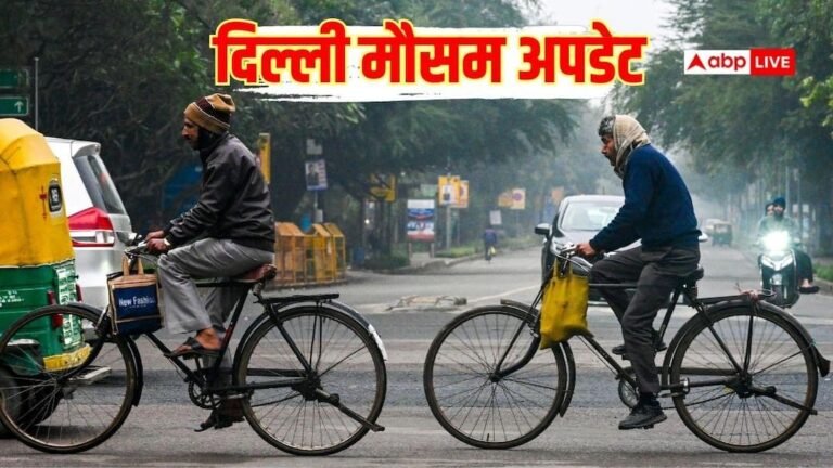 Record hottest day of February in Delhi, temperature will fall again in two-three days, IMD update