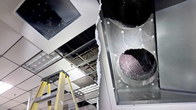 Georgia police dog finds burglary suspect hiding in business air vent