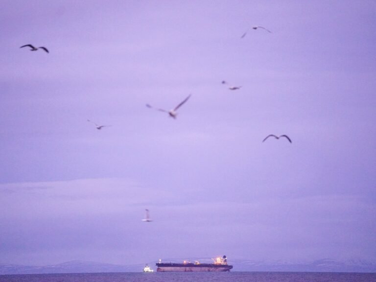 Iran banks big on murky oil ‘trustees’ as war with US on the horizon | Corruption News