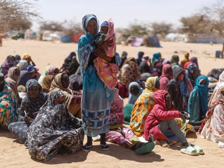 UNSC condemns RSF attacks in Sudan’s Kordofan, calls for an end to the war | Sudan war News
