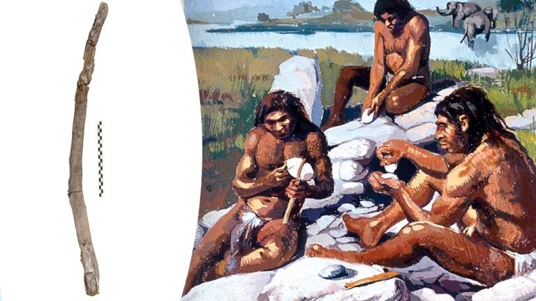 Archaeologists find oldest wooden tools in Greece believed to be 430,000 years old