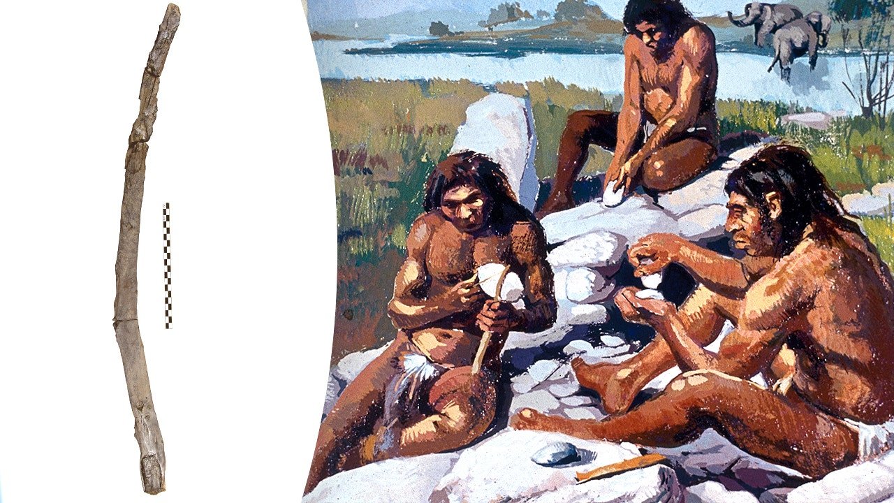 greece-oldest-wooden-tool-found-neanderthal-prehistoric-discovery-archaeology-history-2.jpg