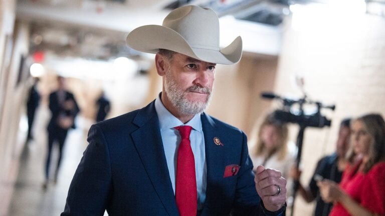 Rep Greg Steube introduces bill to put kibosh on H-1B visa program