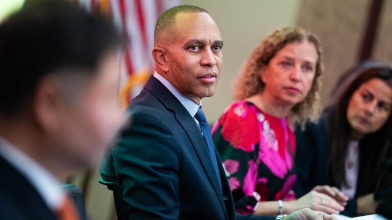 Hakeem Jeffries faces resistance from Maryland Democrat over new map plan