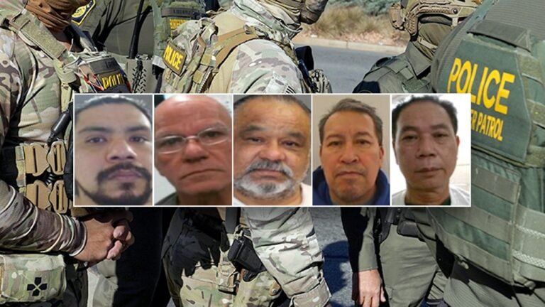 ICE arrests criminal illegal immigrants convicted of murder, sexual assault