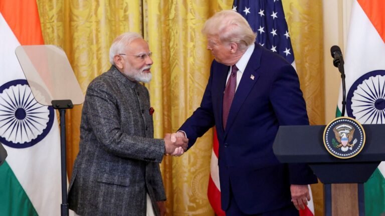 Why is there a mixed reaction in India to the US trade deal? | Business and Economy
