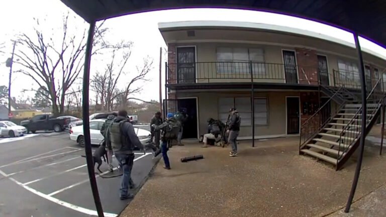 US federal agent breaks pet dog’s rib in Tennessee | Donald Trump