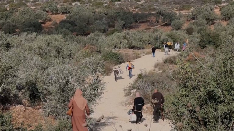 Rights groups condemn Israeli plan for ‘de facto annexation’ of West Bank | Occupied West Bank