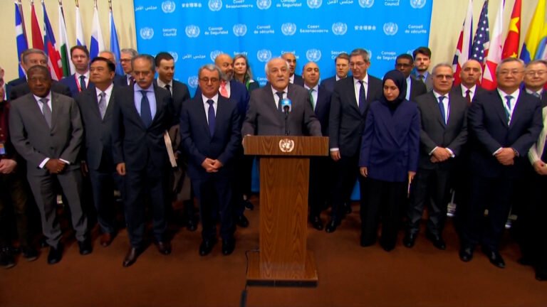 Video: Over 80 UN states condemn Israeli measures in occupied West Bank | United Nations