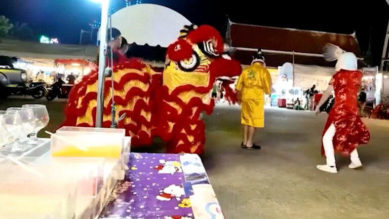 Thai police disguised in dancing lion costume arrest wanted man | Police