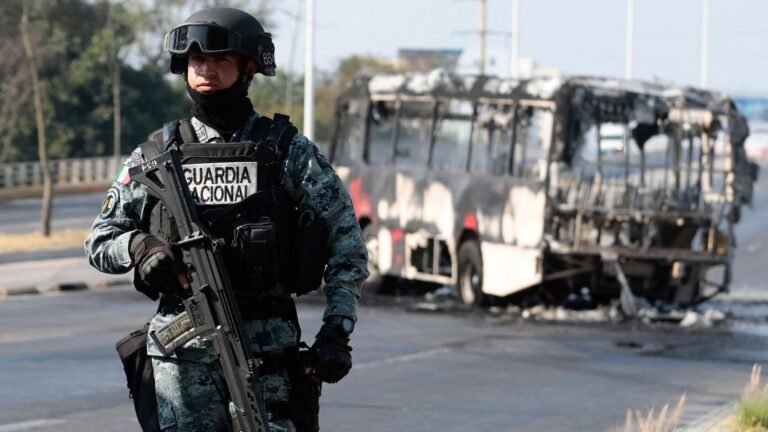 How much power do drug cartels have in Mexico? | Drugs News