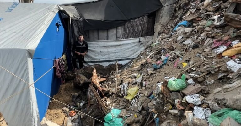 ‘Rats run over our faces’: Gaza’s displaced forced to live on infested land | Israel-Palestine conflict