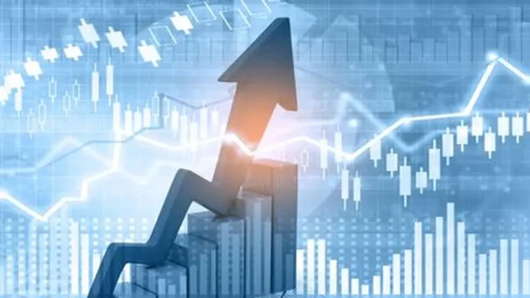 Indian IT, business services market grew 5.4% in 2020: IDC