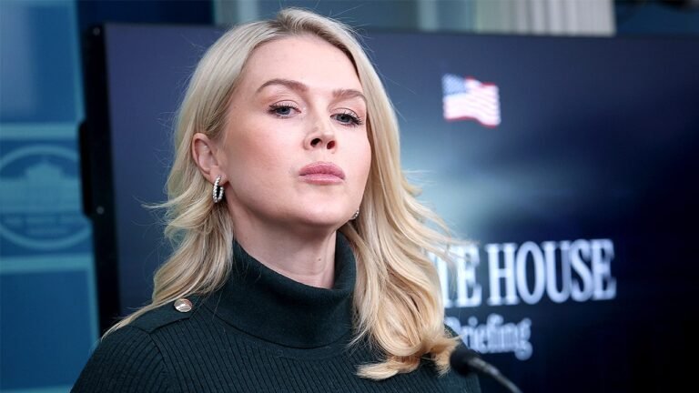 White House pushes back on Minnesota immigration operation criticism