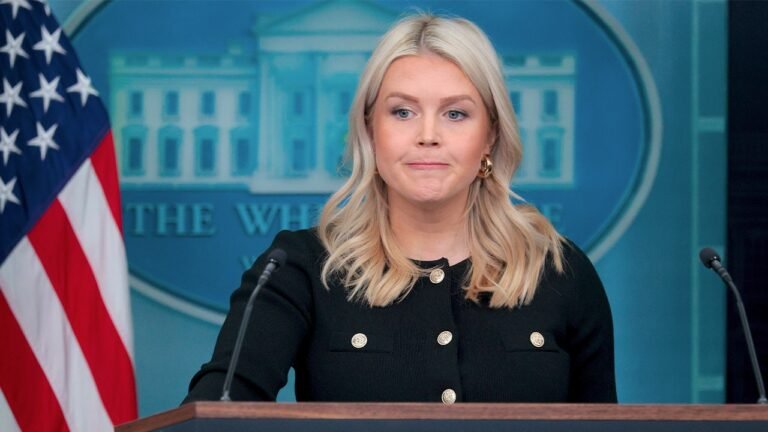 White House press secretary Karoline Leavitt defends Trump on racism claims