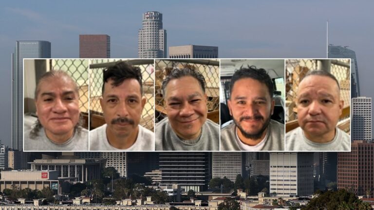 ICE arrests 9 convicted sex offenders in California sanctuary cities