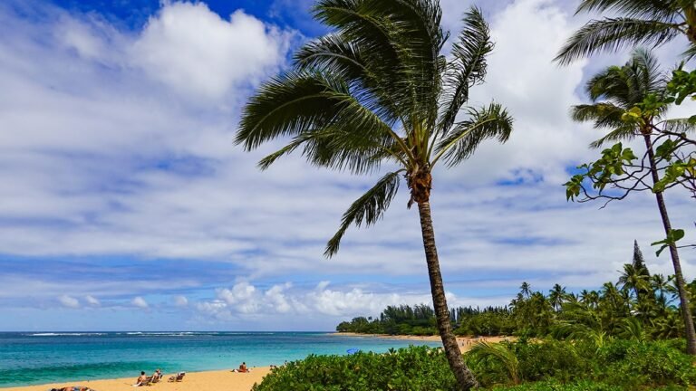 Harbor pilot falls from boat near Emerald Princess cruise in Kauai in ‘man overboard’ alert