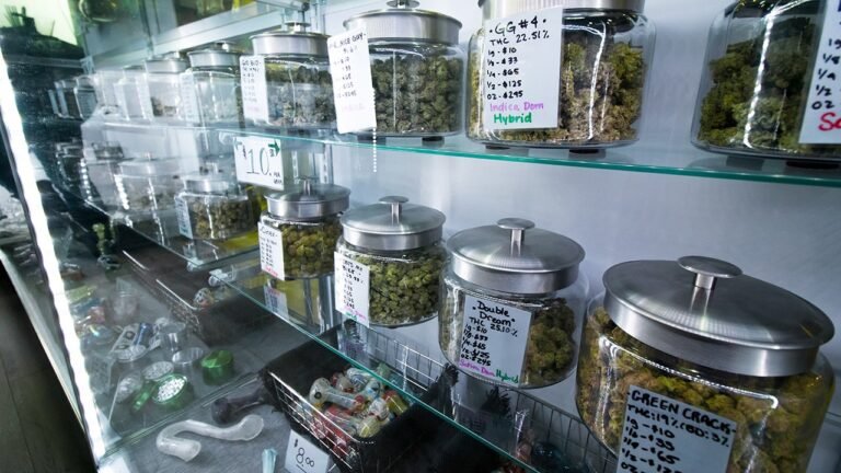 Alex Berenson vindicated as cannabis mental health warnings prove accurate