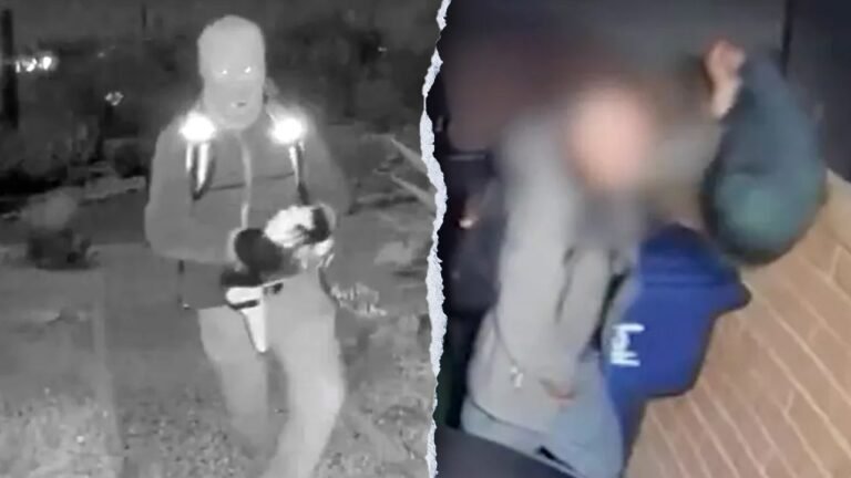 Nancy Guthrie case: FBI probes surveillance footage from separate Tucson home