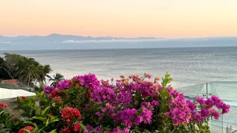 American tourists remain stranded in Punta Mita region of Mexico amid cartel violence