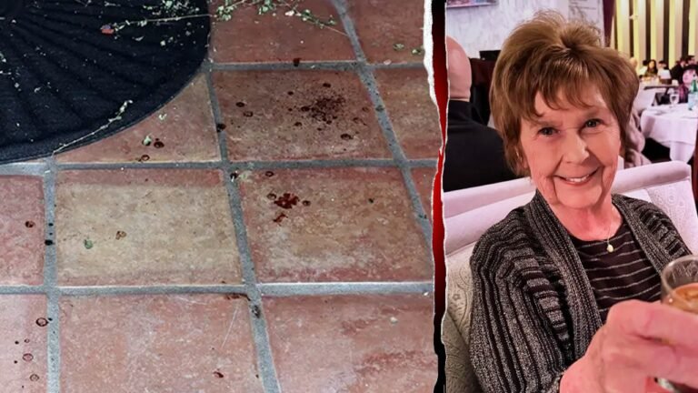 Nancy Guthrie blood droplets suggest abduction of 84-year-old, expert says