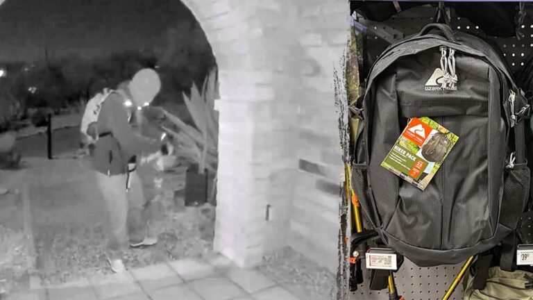 Jason Pack explains FBI backpack probe in Nancy Guthrie missing person case