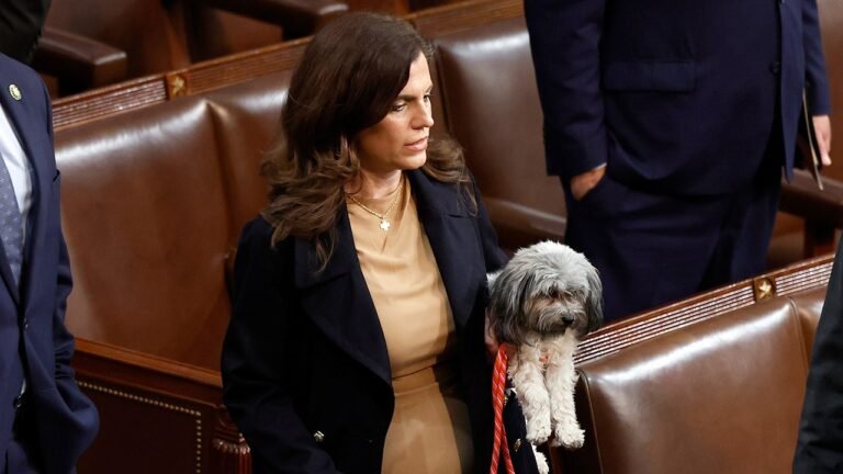 Nancy Mace introduces bill to target animal-abusing aliens
