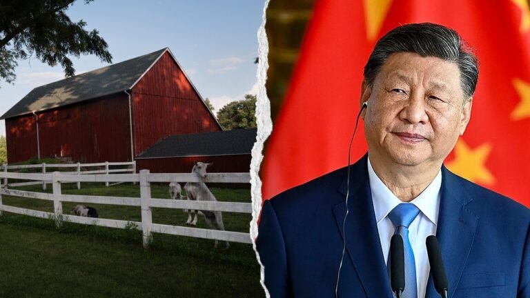 Lawmakers demand answers from FFA over Chinese Communist Party ties