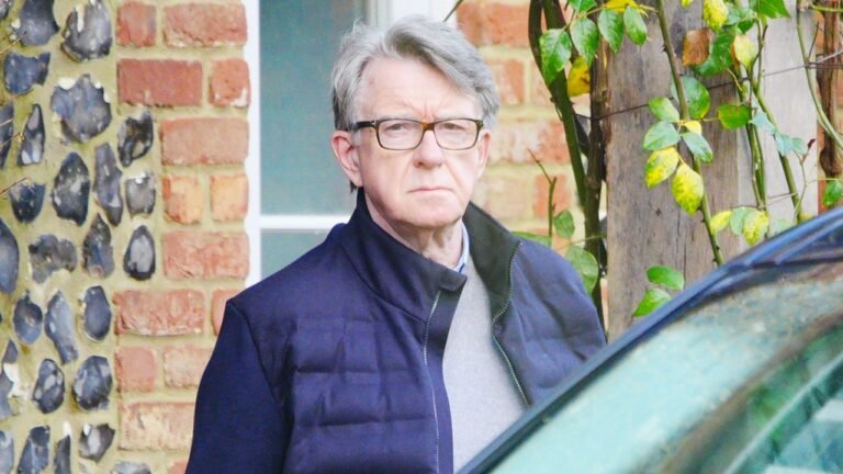 Former UK ambassador to US released on bail after Epstein-related arrest