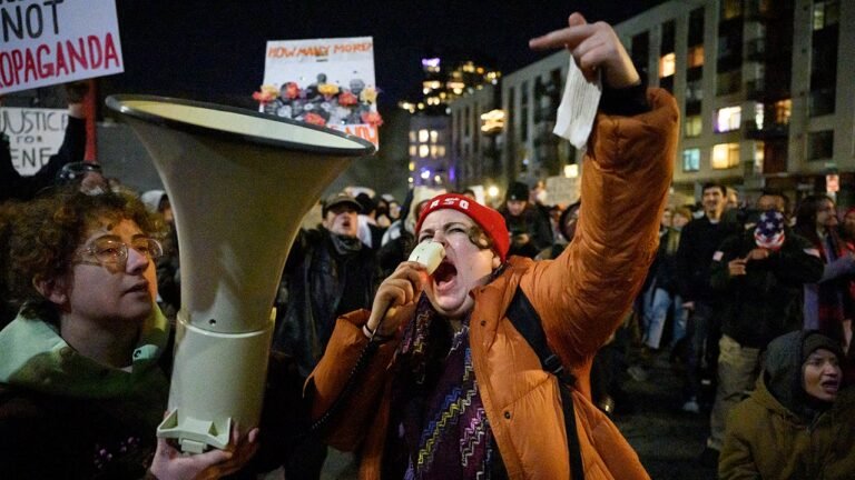 Dem Senator says foreign funding allegations ‘delegitimize’ anger of anti-ICE agitators