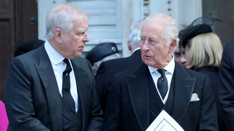 King Charles expresses ‘deepest concern’ after brother Andrew Mountbatten-Windsor’s arrest