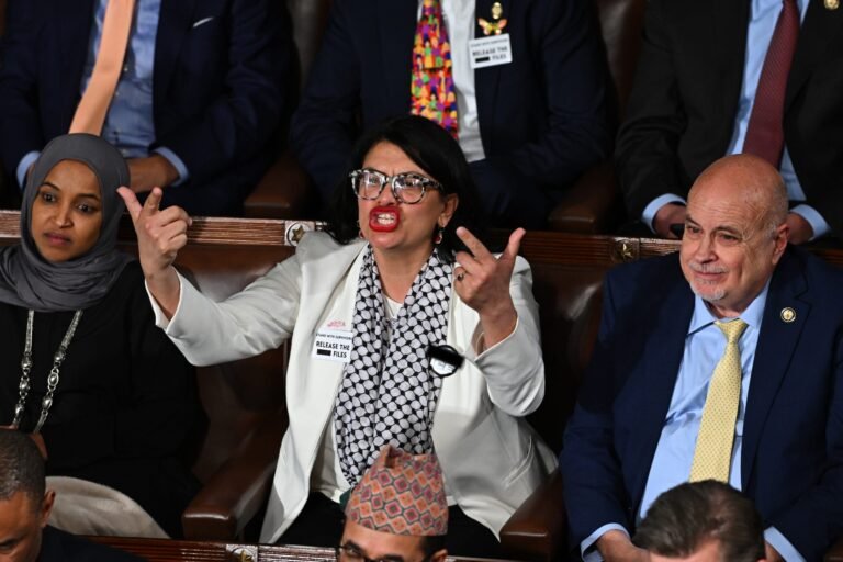 ‘Squad’ member sports ‘F— ICE’ pin on House floor during State of the Union