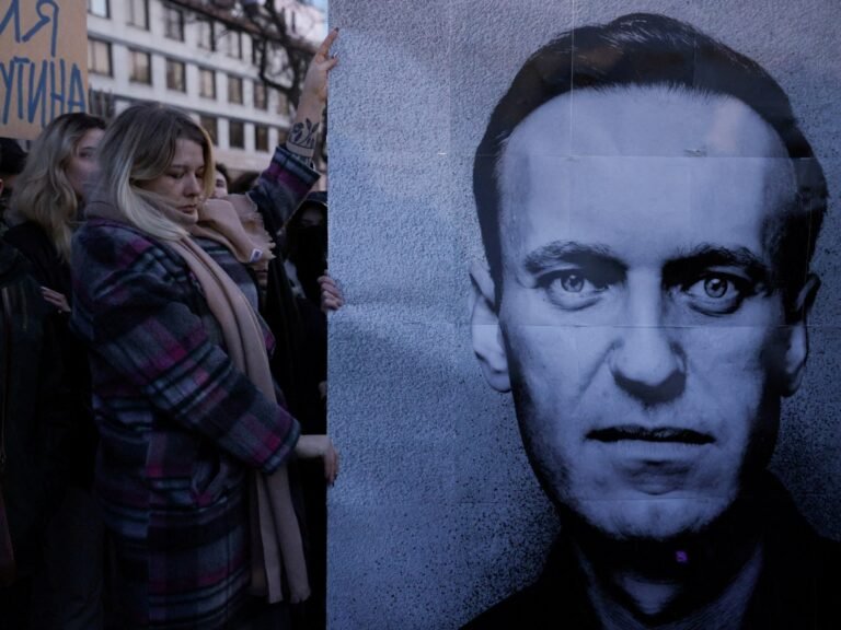 Russia’s Alexey Navalny killed by dart frog poison, European nations allege | Human Rights News