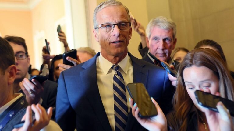 Senate Majority Leader Thune promises vote on SAVE America Act voter ID bill