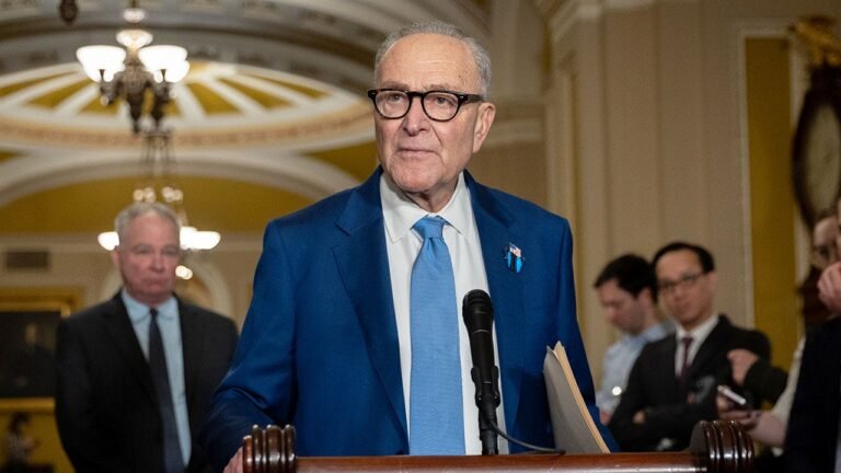 Schumer fights GOP citizenship voting requirement bill in Senate chamber